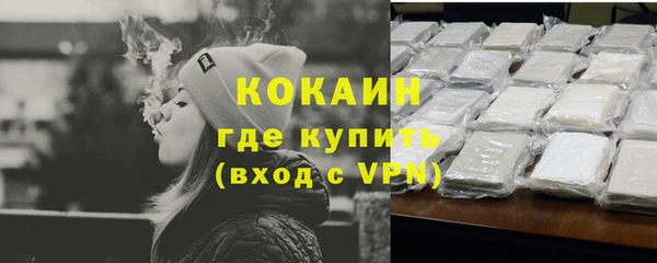 соль ск Козловка