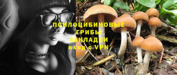 круглые Краснослободск