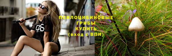 спайс Костерёво